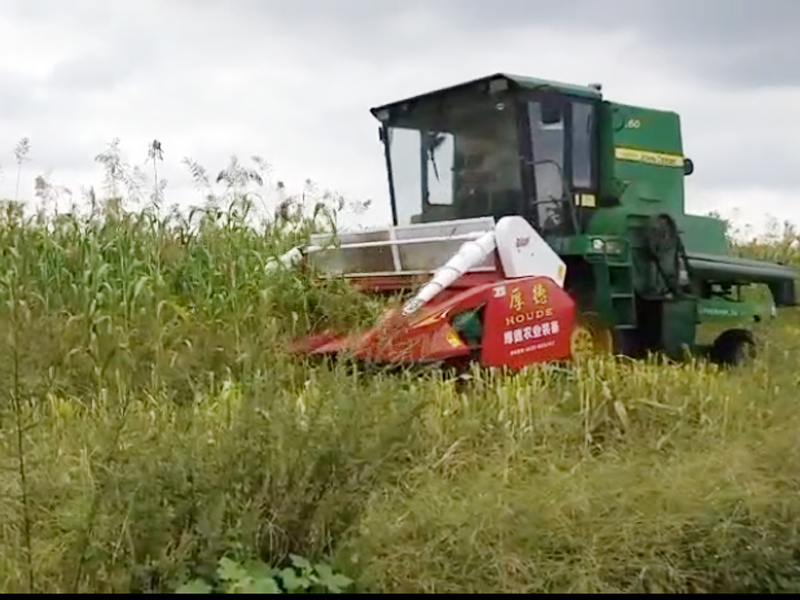 r(nng)C(j)r(nng)I(y)F(xin)еĵλ