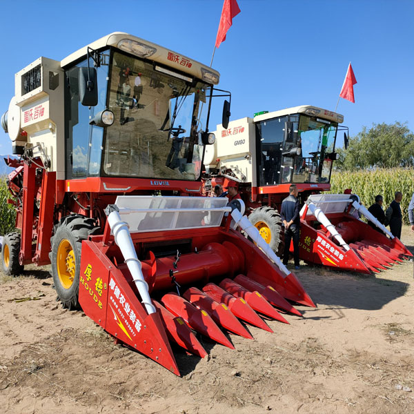 ոC(j)ĝ(rn)B(yng)ע(xing)