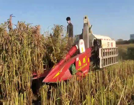 _(ti)F(xin)(chng)ҕl